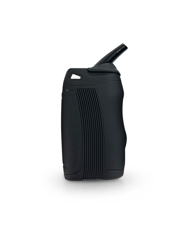 Boundless Tera