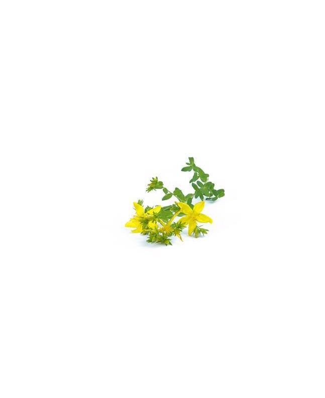 St. John's wort 15g