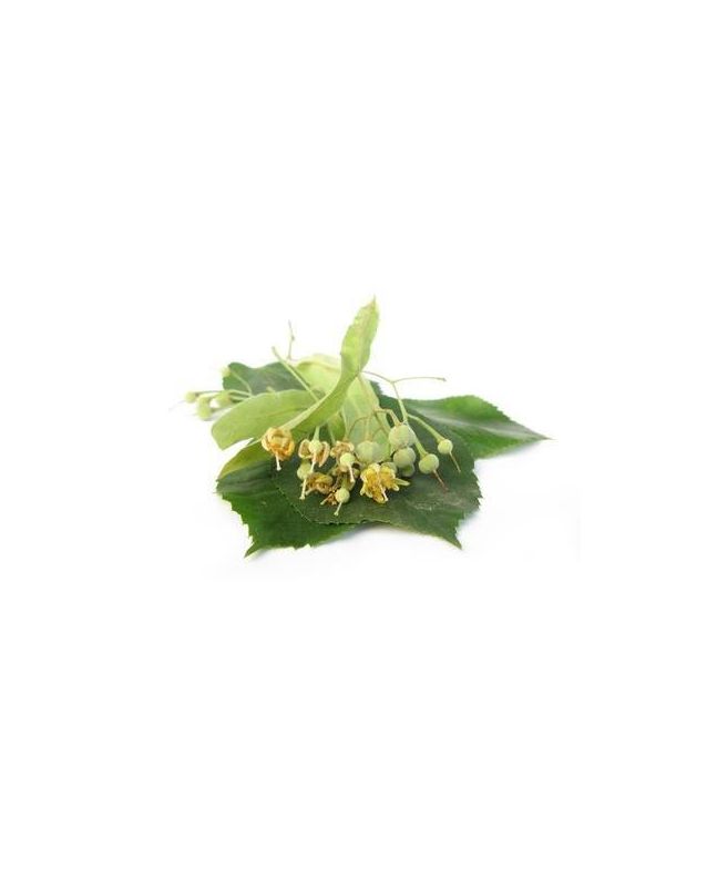 Linden 15g