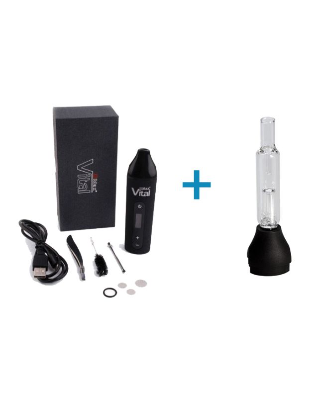 SET: XVAPE XMAX Vital + Glass bubbler, water filter