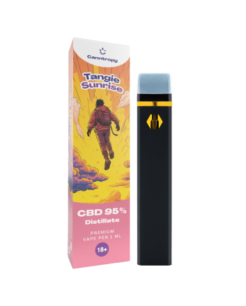 Canntropy CBD Disposable Vape Pen - Tangie Sunrise, CBD 95%, 1ml