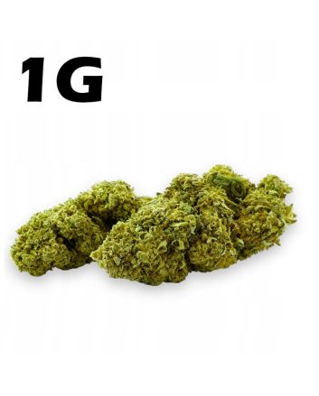 Hemp drought CBD 4,2% Amnesia Haze 1g