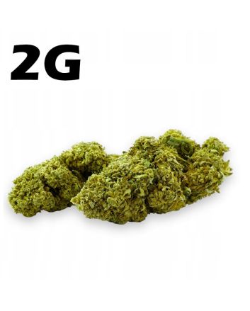 Hemp drought CBD 4,2% Amnesia Haze 2g