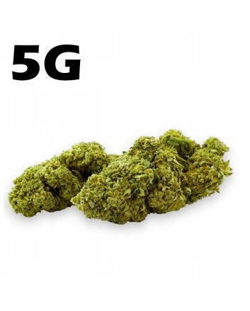 Hemp drought CBD 4,2% Amnesia Haze 5g