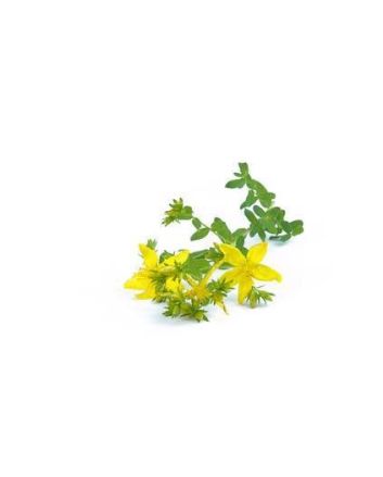 St. John's wort 15g