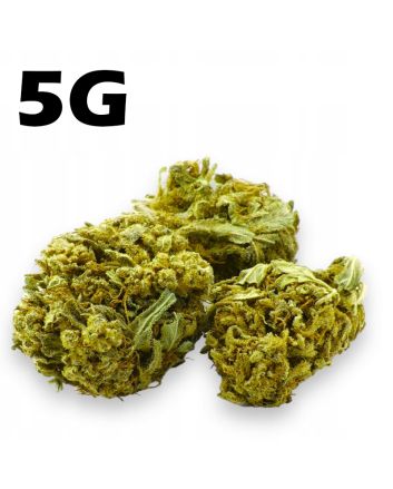 Hemp drought CBD 4% Lemon Haze 5g
