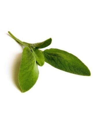 Sage 15g