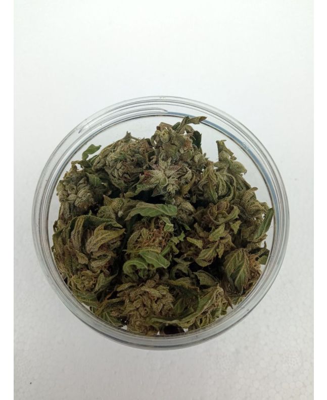 CBG dried hemp flowers 20 gram 13% CBG kannabigerol